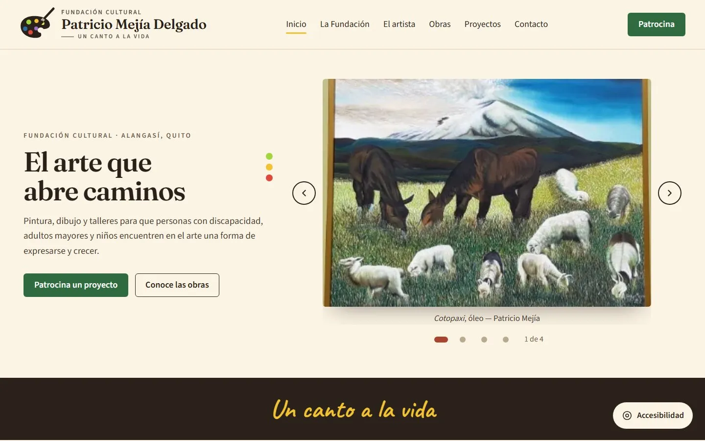 Fundación Patricio Mejía: captura del sistema